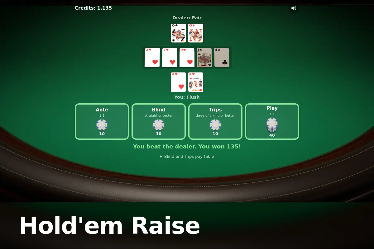 Hold'em Raise game screen