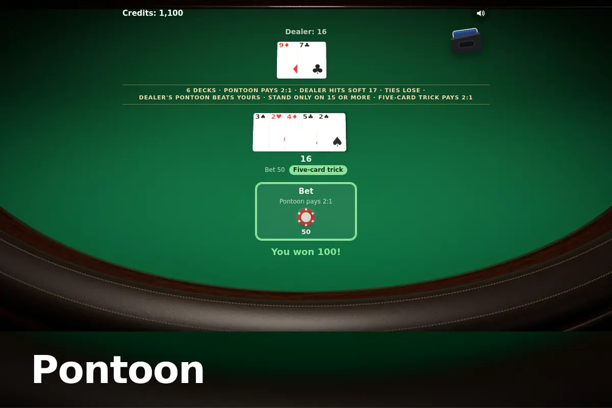 Pontoon game screen